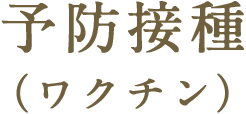 予防接種（ワクチン）