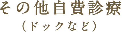 その他自費診療（ドックなど）