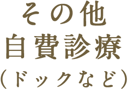 その他自費診療（ドックなど）