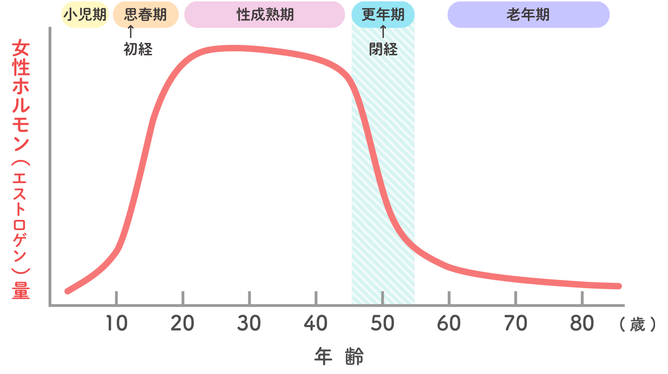 エストロゲン量のイメージ図